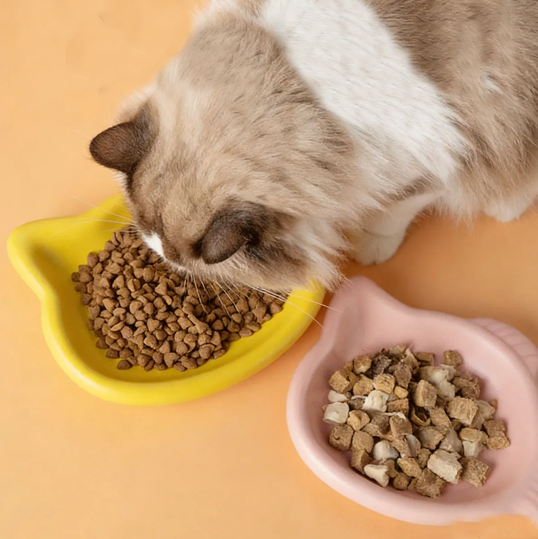 Cute Cat Shape Pet Snack Plate – обзор и цена Food Snacks Options