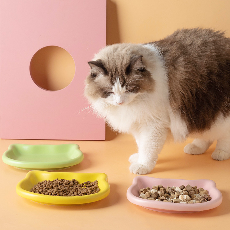 Cute Cat Shape Pet Snack Plate – обзор и цена Food Snacks Options