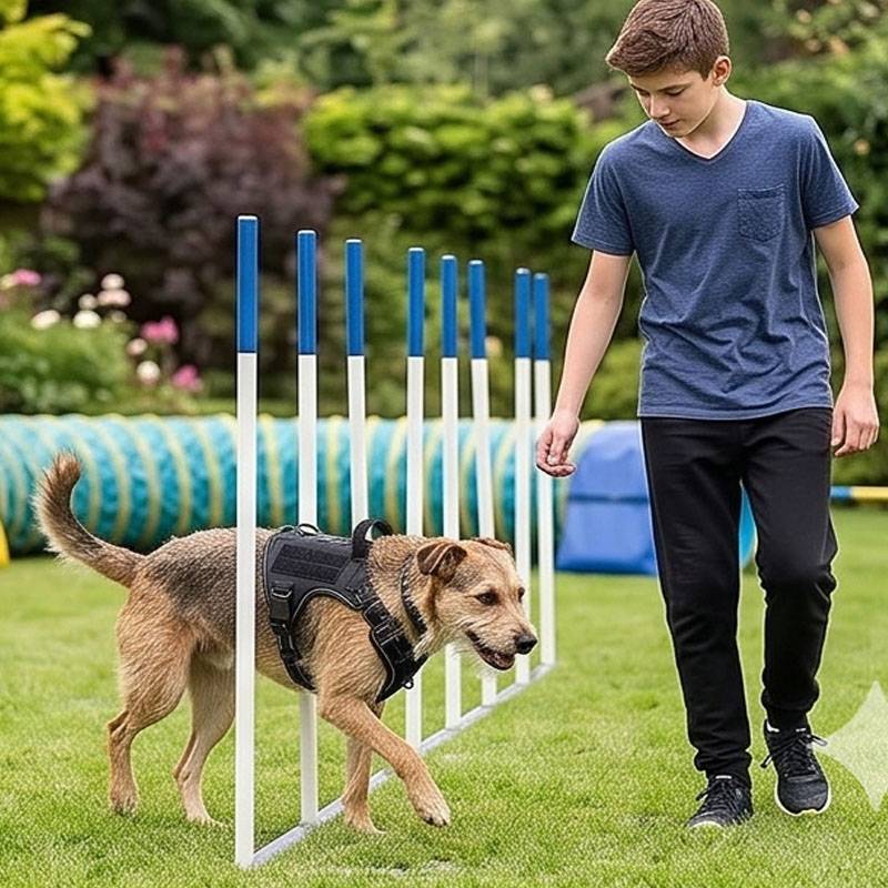 Universal Vest Harness Dog Foo – обзор и цена Food Snacks For Hiking