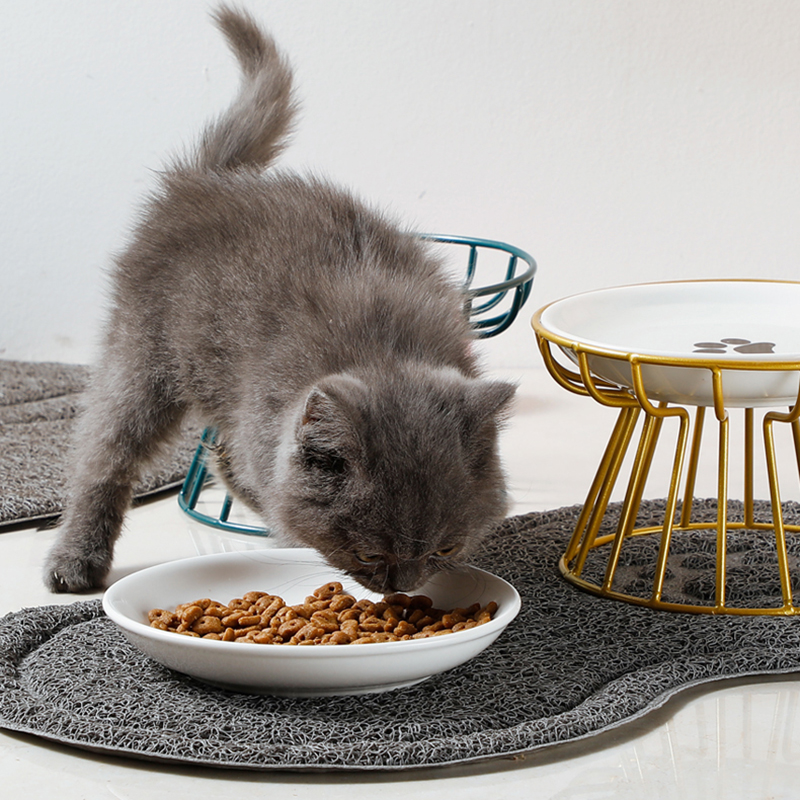 2024 New Pet Ceramic Bowl Iron – обзор и цена Food Snacks With Iron
