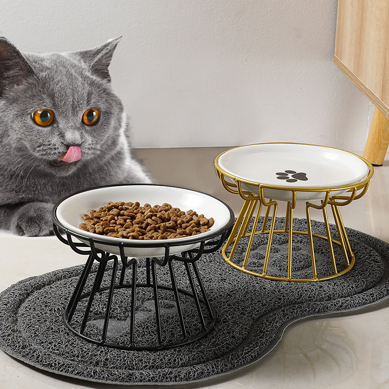 2024 New Pet Ceramic Bowl Iron – обзор и цена Food Snacks With Iron